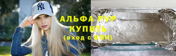 сатива Баксан