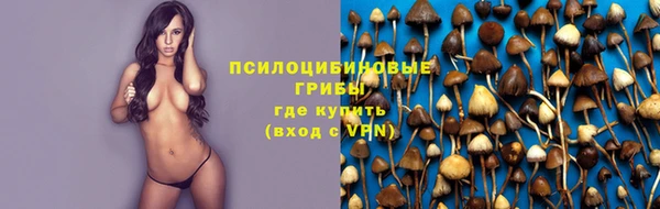 бошки Армянск