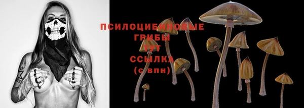 бошки Армянск