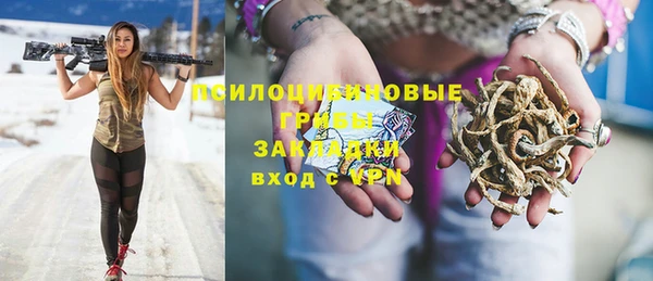 бошки Армянск