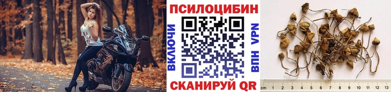 даркнет сайт  Омутнинск  blacksprut как войти  Галлюциногенные грибы GOLDEN TEACHER 