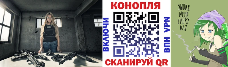 Конопля семена  купить  цена  мега онион  Омутнинск 